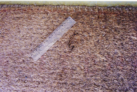 A photo of a footprint on Emma Woods's front porch mat.