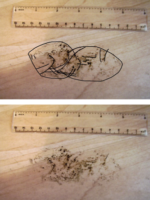 A photo and sketch of two scuffed footprints in Emma Woods' hallway.